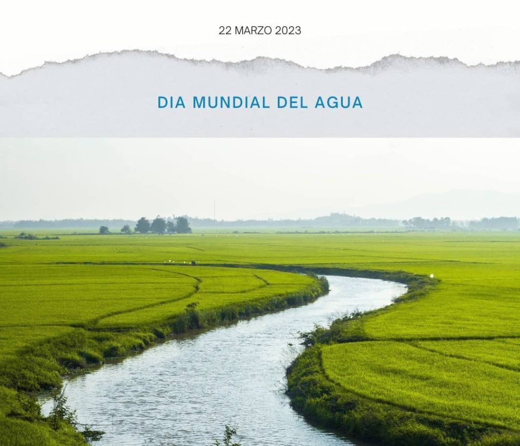Césped natural resistente a la sequía cultivado por Tepeservi, ideal para ahorrar agua en jardines y zonas verdes.