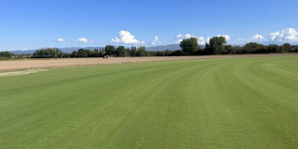 Césped Natural en finca La bazagona - Tepeservi