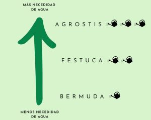 Gráfico necesidades hídricas de las variedades de césped natural (Agrostis, Festuca, Bermuda) - Tepeservi