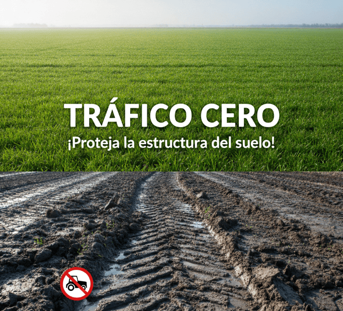 Tráfico Cero - Césped Natural - Tepeservi